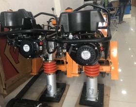 Máy đầm cóc Hoshi 163cc (5.5HP)